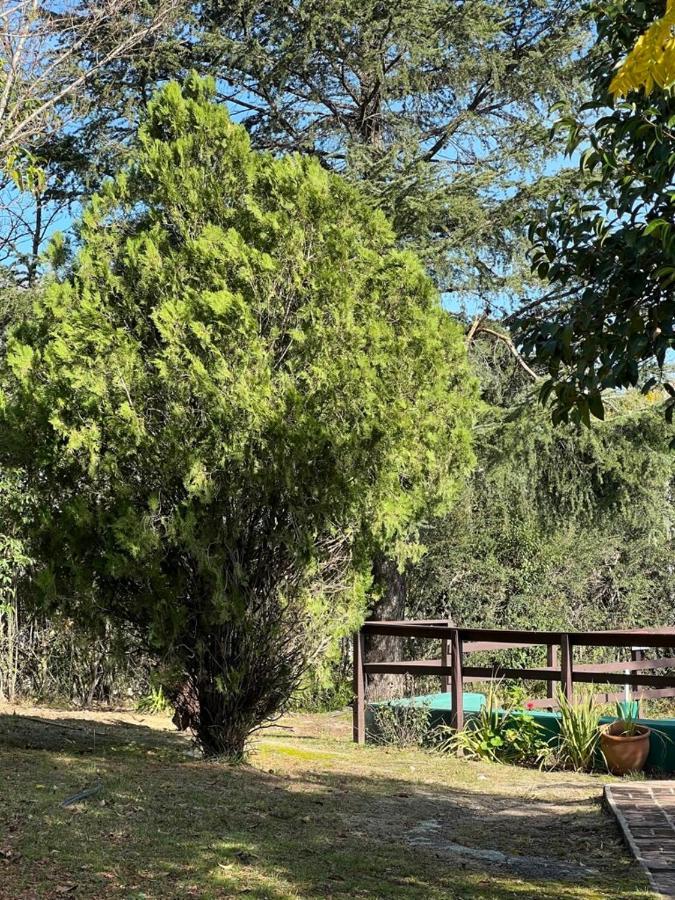Cedros Holiday home *